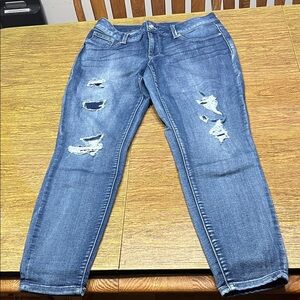 Maurices Blue Distressed Jeans